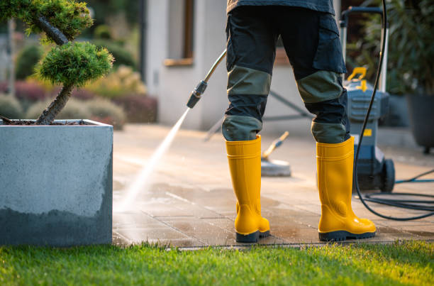 Best Commercial Building Pressure Washing  in Glenmont, MD
